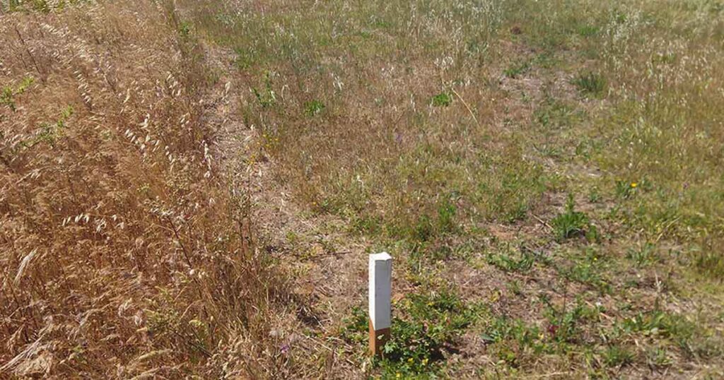 demarcação terreno mafra stgc